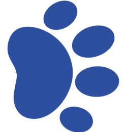 Patita Azul